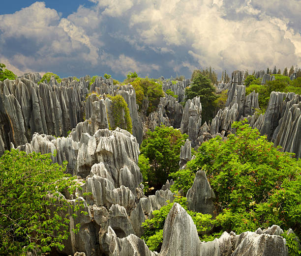 Shilin Stone Forest China