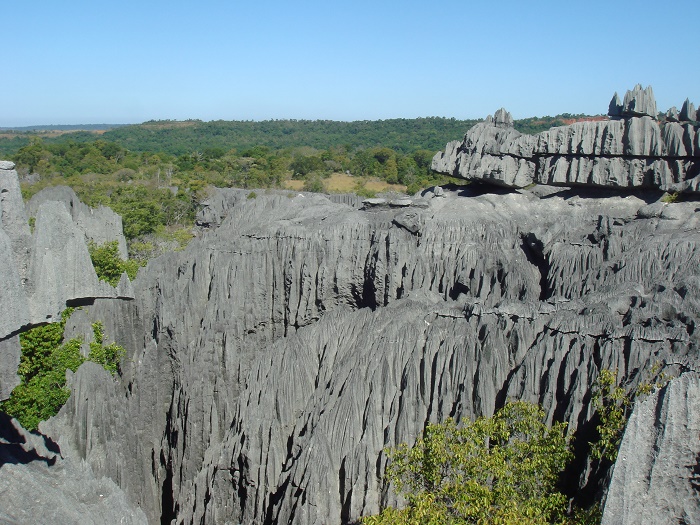 Tsingy Stone Forest Madagascar